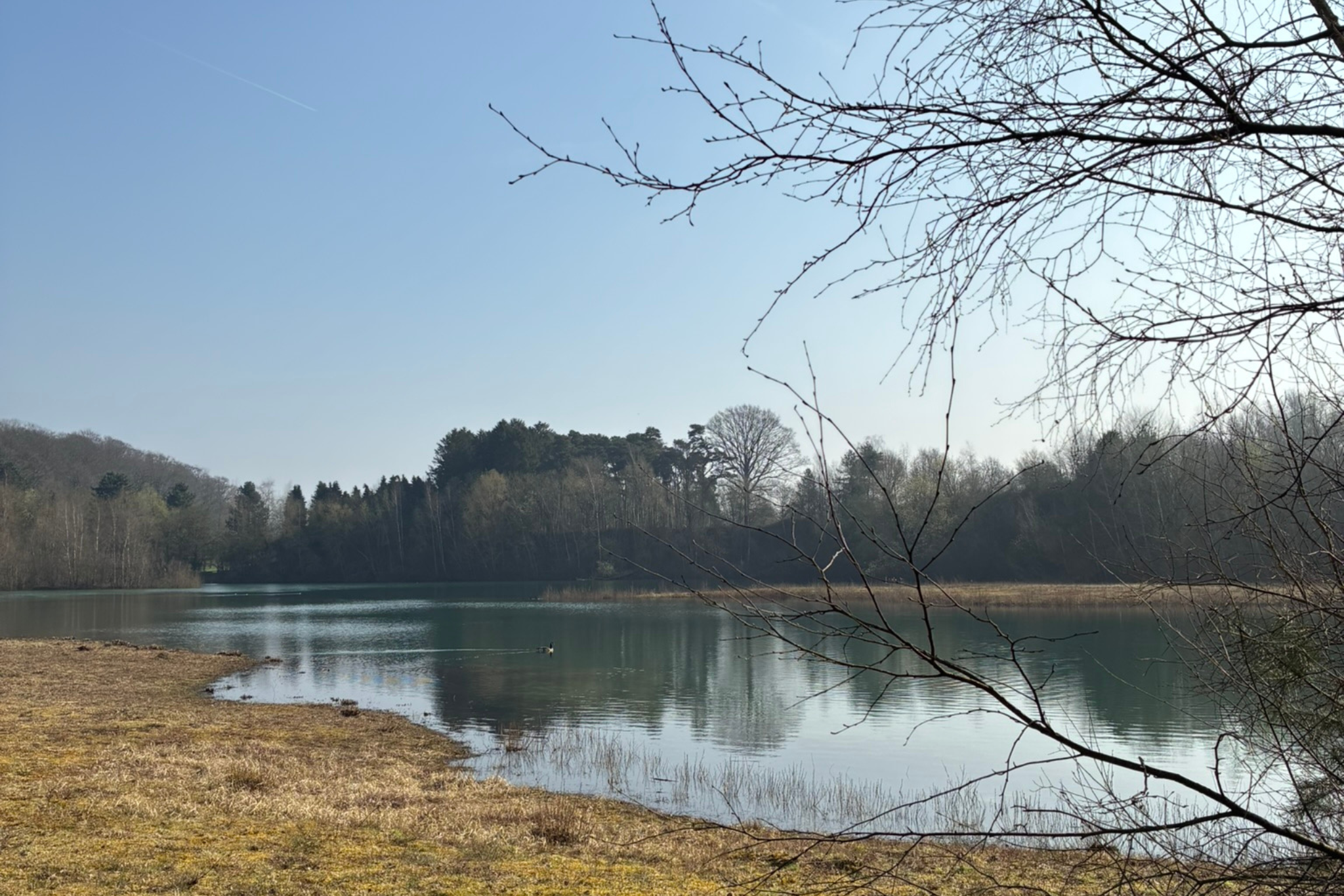 Read more about the article Réserve Naturelle de Gentissart